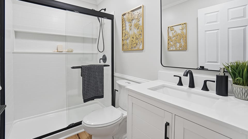 Bathroom handyman project